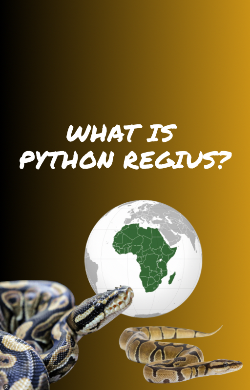 Think Outside The Enclosure