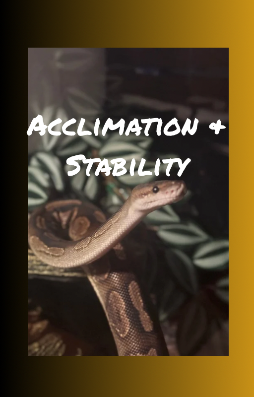 Think Outside The Enclosure