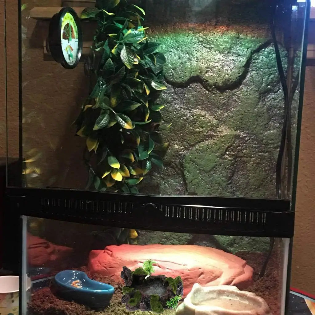 Pets Feeding/ Water Plate - Dish Suitable for Small Animals, Tortoise, Frog, Gecko, Scorpion, Snake