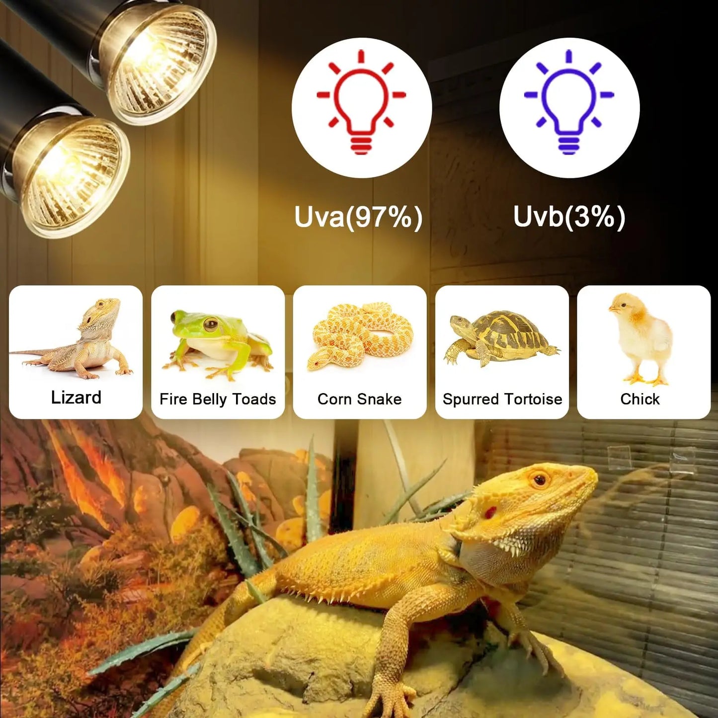 Double-Head Heat Lamp with Clamp: UVA/UVB Reptile Light & 2 Bulbs 25W+50W (Intelligent Cycle Timer)