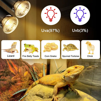 Double-Head Heat Lamp with Clamp: UVA/UVB Reptile Light & 2 Bulbs 25W+50W (Intelligent Cycle Timer)