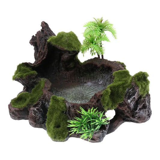 Pets Feeding/ Water Plate - Dish Suitable for Small Animals, Tortoise, Frog, Gecko, Scorpion, Snake