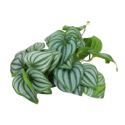 Leaves Decor for Reptile Tank with Suction Cup (Rainforest Tank)