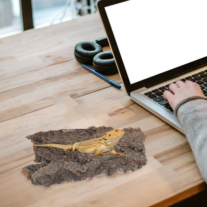 4Pc Natural Cork Bark Flat Reptile Tree Bark