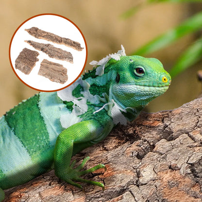 4Pc Natural Cork Bark Flat Reptile Tree Bark