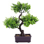 Fake Potted Bonsai Plant