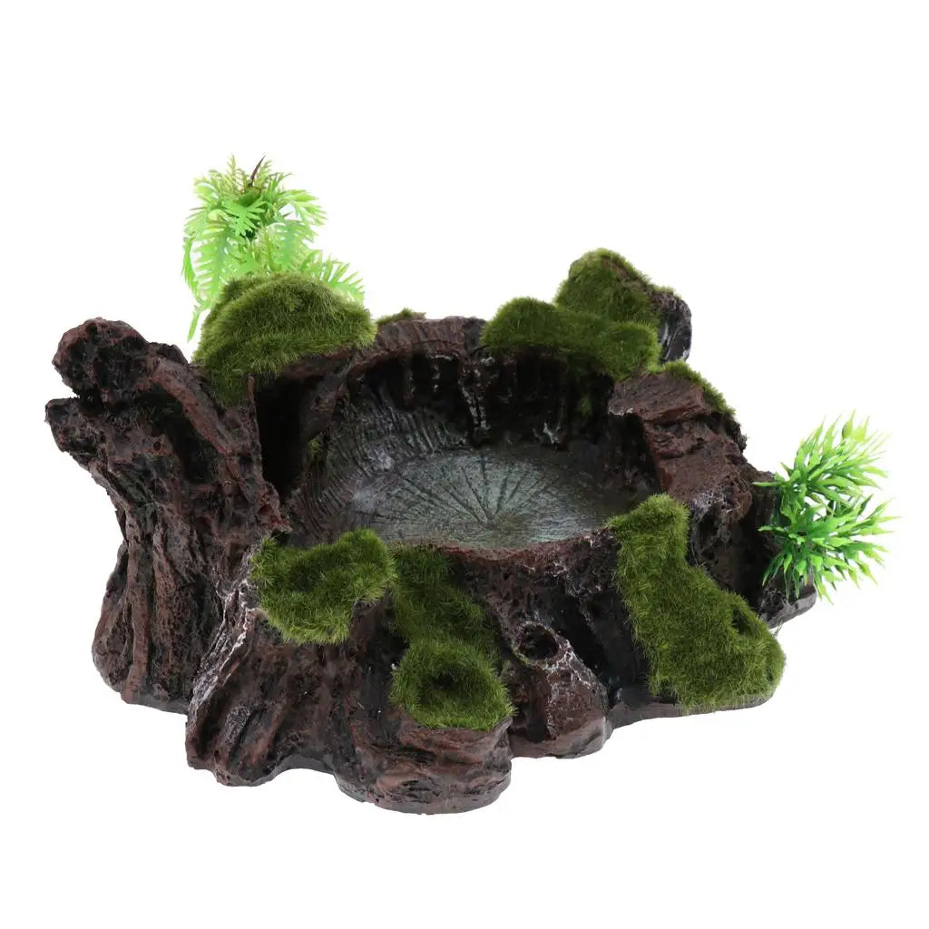Pets Feeding/ Water Plate - Dish Suitable for Small Animals, Tortoise, Frog, Gecko, Scorpion, Snake