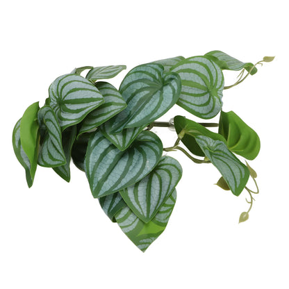 Leaves Decor for Reptile Tank with Suction Cup (Rainforest Tank)