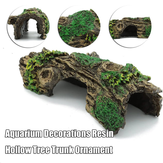 Hollow Tree Tunnel Cave