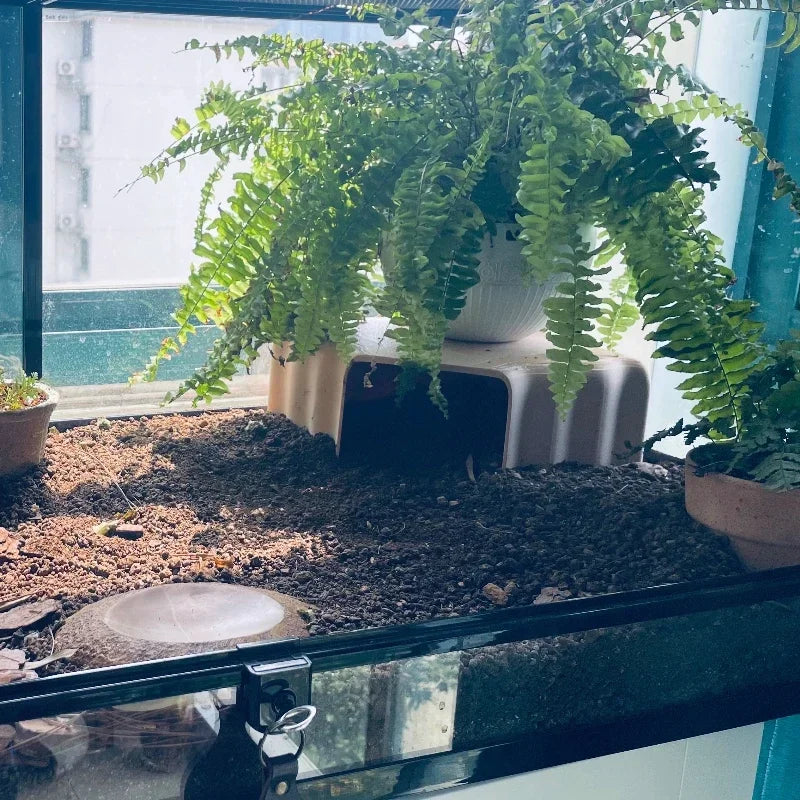 3D Printed Reptile Cave Hideout - Terrarium Decor