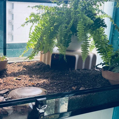 3D Printed Reptile Cave Hideout - Terrarium Decor