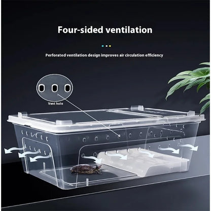 Reptile Terrarium Box