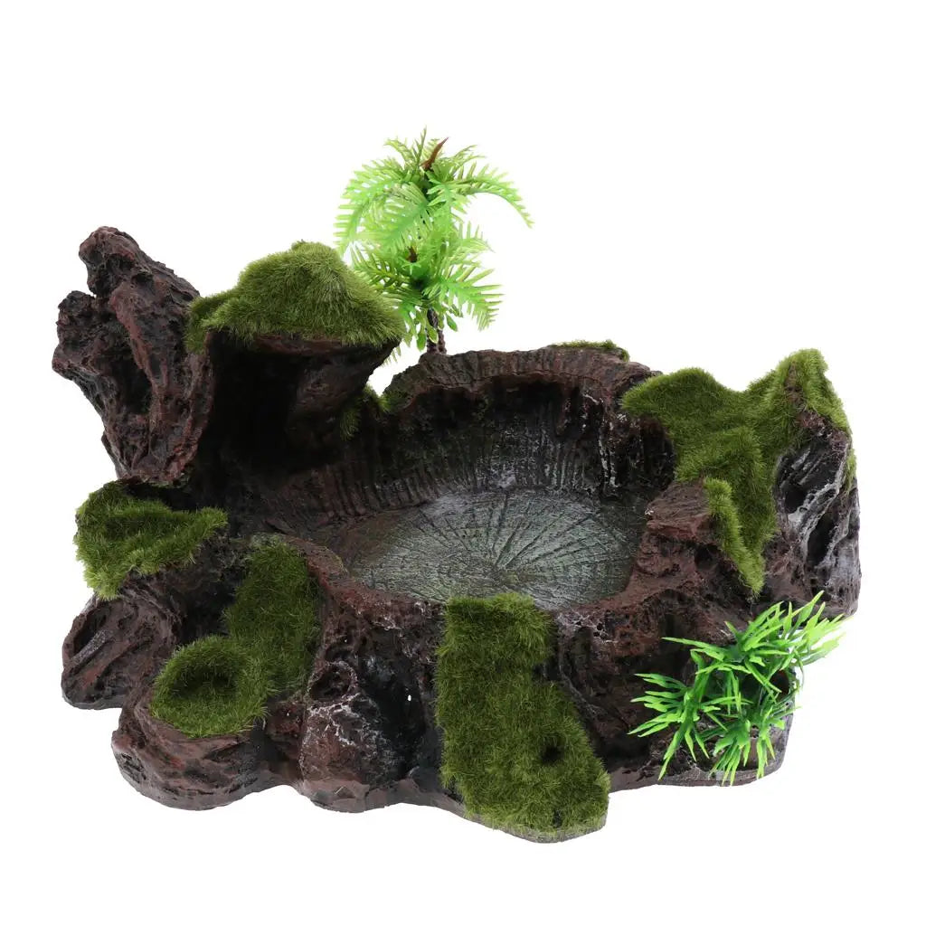 Pets Feeding/ Water Plate - Dish Suitable for Small Animals, Tortoise, Frog, Gecko, Scorpion, Snake