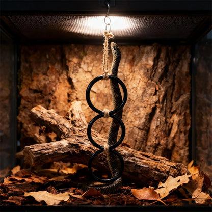 Link Rings-Arboreal Enrichment For Habitat