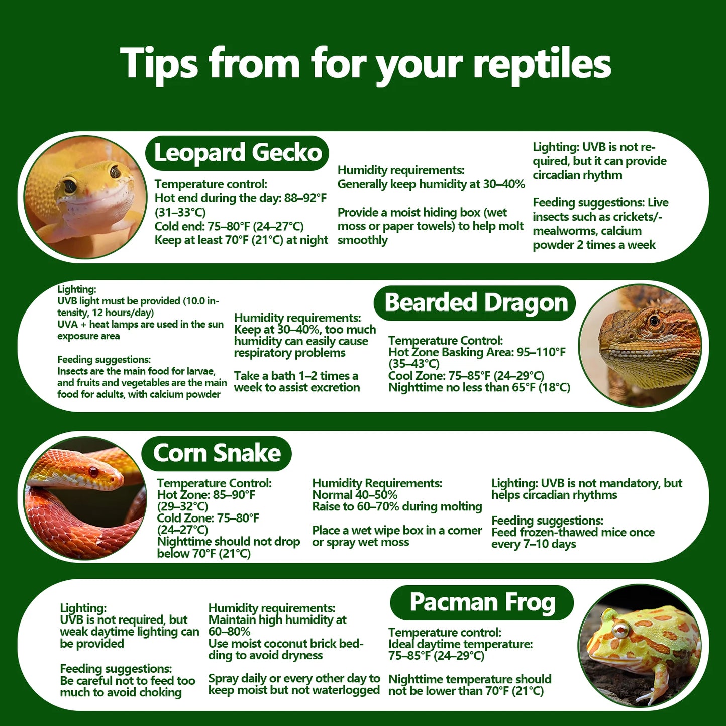 Reptile Thermometer and Hygrometer – Fast Accurate LCD Digital Temp & Humidity Meter for Bearded Dragon Tank Accessories