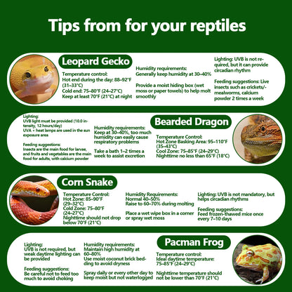 Reptile Thermometer and Hygrometer – Fast Accurate LCD Digital Temp & Humidity Meter for Bearded Dragon Tank Accessories