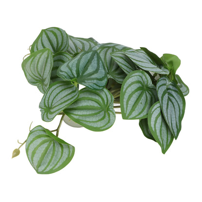 Leaves Decor for Reptile Tank with Suction Cup (Rainforest Tank)