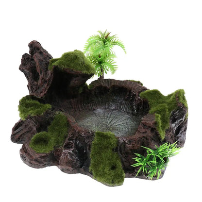 Pets Feeding/ Water Plate - Dish Suitable for Small Animals, Tortoise, Frog, Gecko, Scorpion, Snake