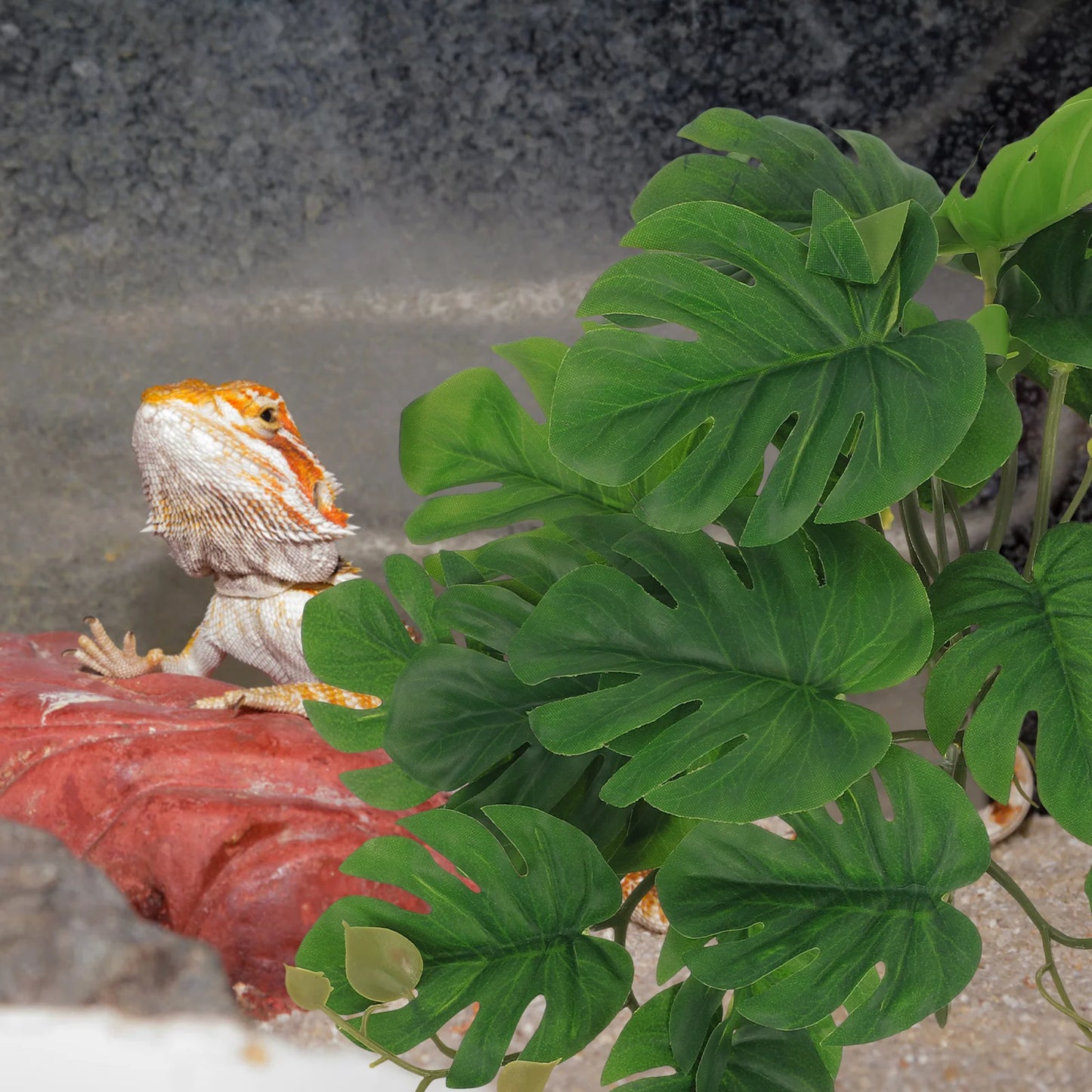 Reptile Plants For Terrarium ( Decor Fake Plants)