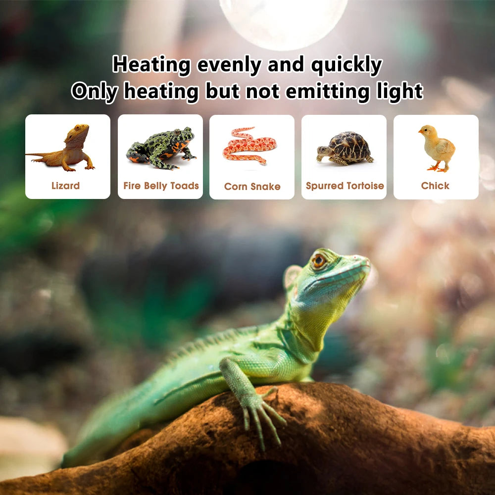 Reptile Heating Lamp Bulb 75W Thermal Preservation Heat