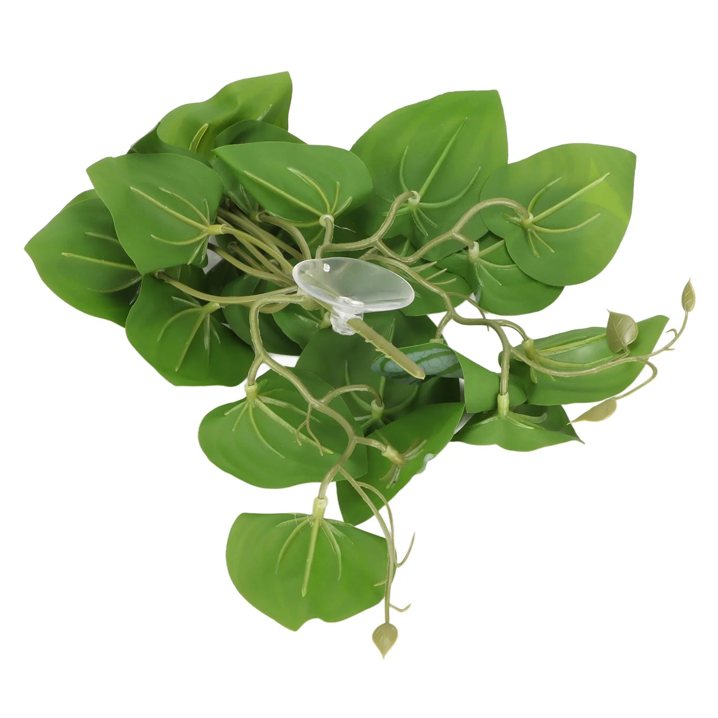 Leaves Decor for Reptile Tank with Suction Cup (Rainforest Tank)