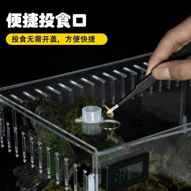 Transparent Acrylic Reptile Terrarium Enclosure For Geckos Lizards Snakes Desktop Table Display For Home Office Decor For Kids