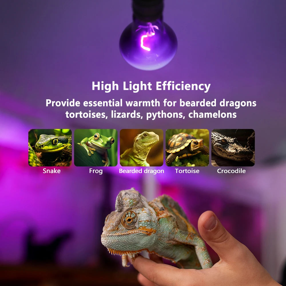 Reptile Heating Lamp Bulb 75W Thermal Preservation Heat