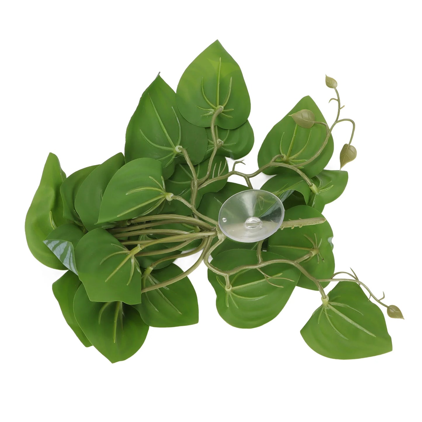 Leaves Decor for Reptile Tank with Suction Cup (Rainforest Tank)
