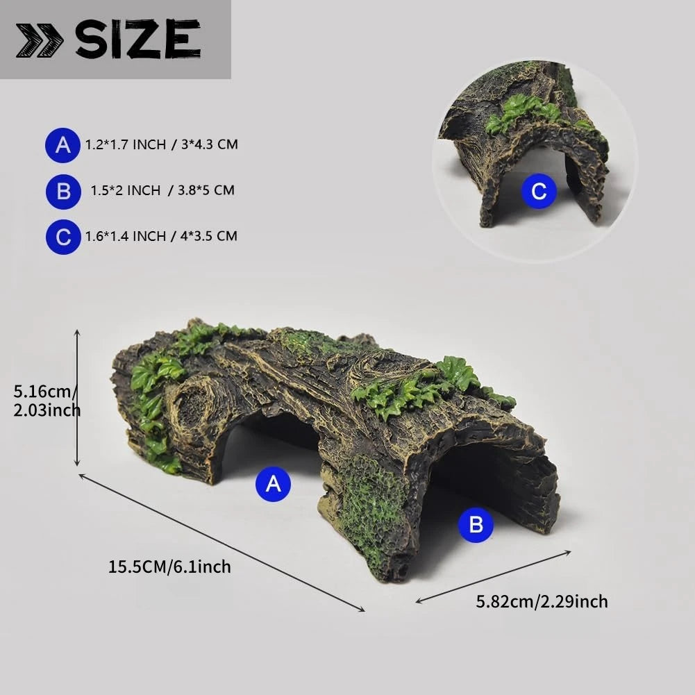 Hollow Tree Tunnel Cave