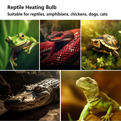Reptile Heating Lamp Bulb 75W Thermal Preservation Heat